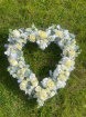 Funeral Heart | Loose Open Heart
