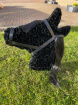 Funeral Bespoke Pieces | Horse Head