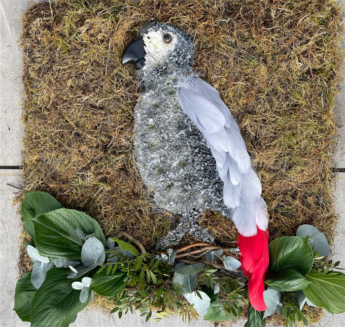 Funeral Bespoke Pieces | 2D African Grey