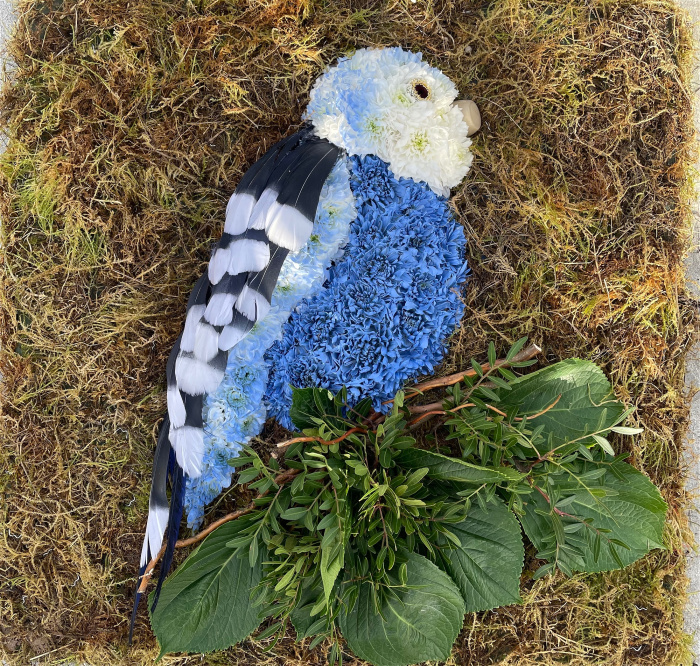 Funeral Bespoke Pieces | 2D Budgie