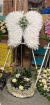 Funeral Bespoke Pieces | Feather Angel Wings