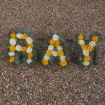 Funeral Lettering | Rose Letters