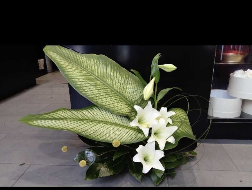 Lily & Bee | Waterlooville | Corporate & Events