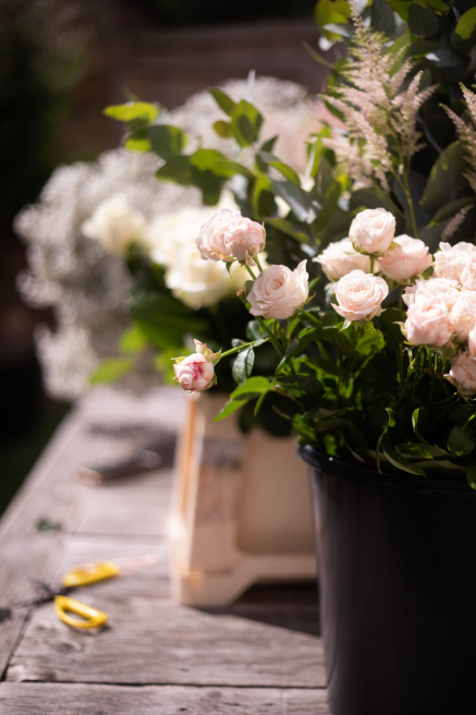 Lily & Bee | Waterlooville | Corporate & Events