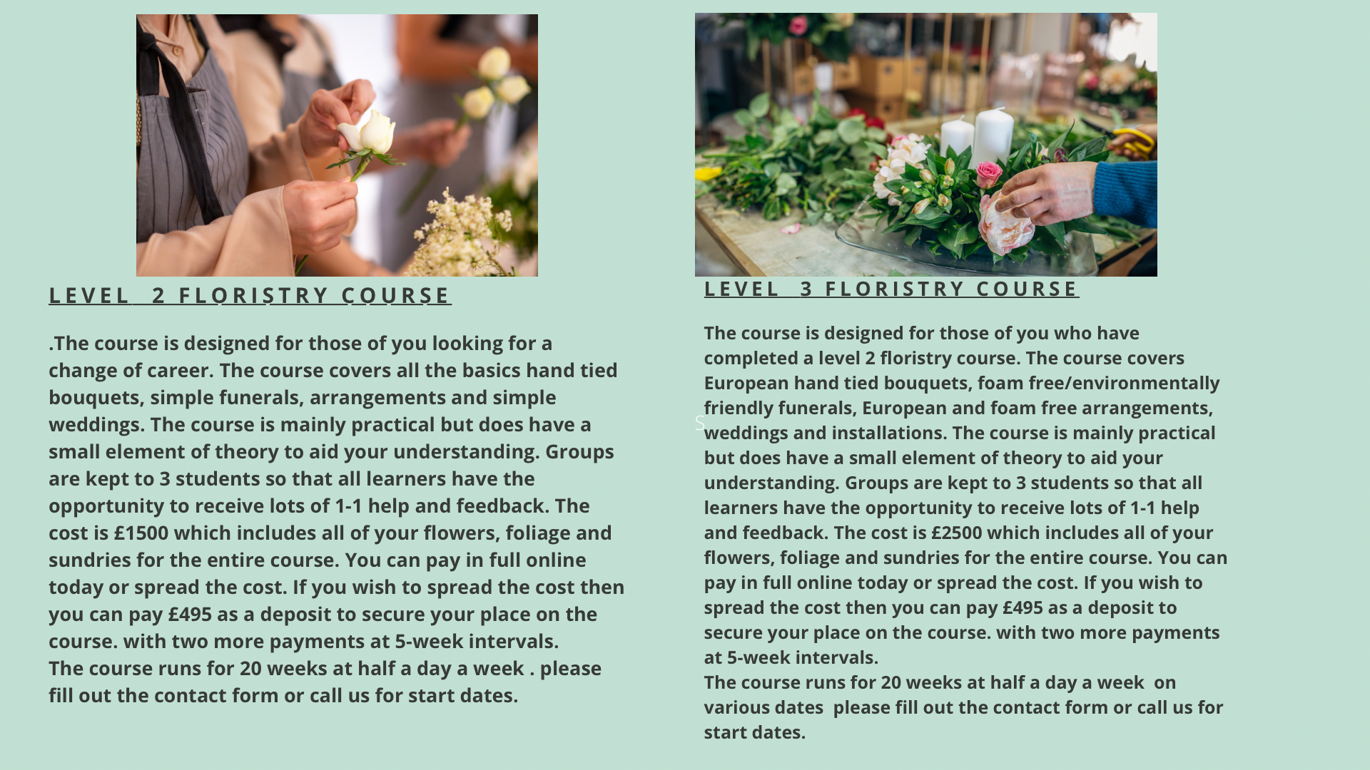 Lily & Bee | Waterlooville | Flower School & Workshops