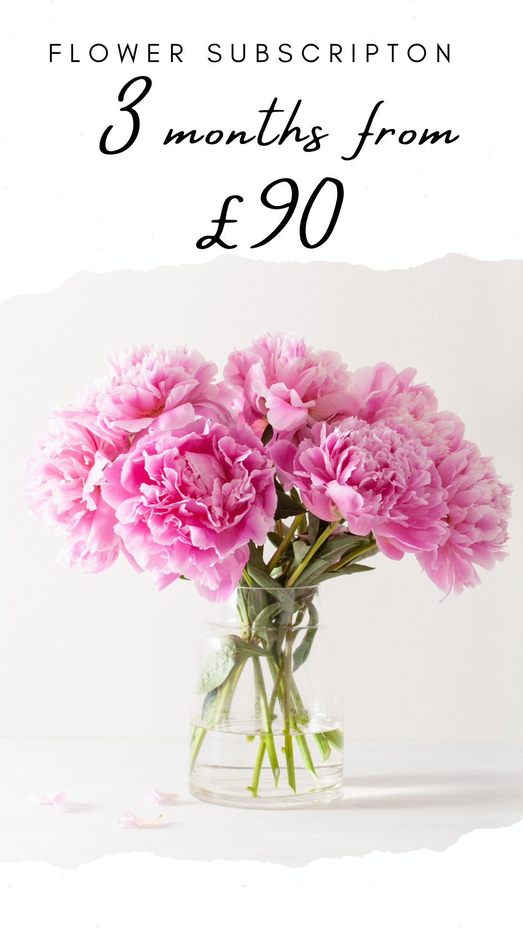Lily & Bee | Waterlooville | Flower subscriptions