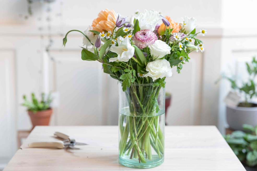 Forget Me Knot Bespoke Florist | Coalville | Flower Care