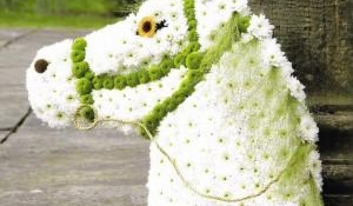 Forget Me Knot Bespoke Florist | Coalville | Home