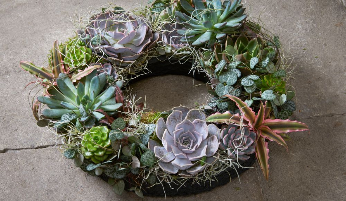 Forget Me Knot Bespoke Florist | Coalville | Home