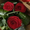 Gift Flowers for all occasions | Hand tied open rose bouquet