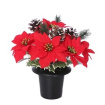 Christmas | Funeral & Sympathy | Gift Flowers for all occasions | Grave Pots