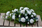 Funeral & Sympathy | Sheaves | Carnations teardrop spray