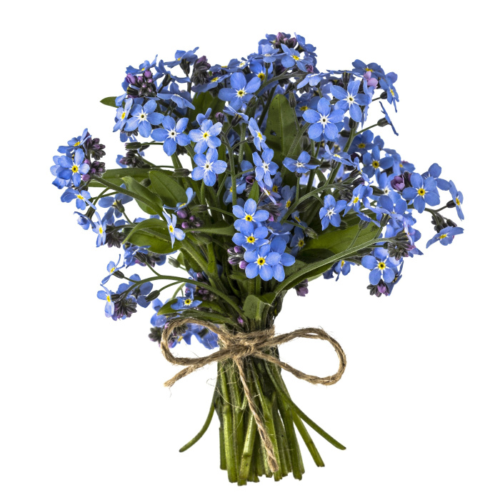 Flower Workshops | PRIVATE WORKSHOP INVITEES ONLY 30.11.2026