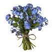 Flower Workshops | PRIVATE WORKSHOP INVITEES ONLY 30.11.2026