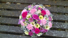 Christmas | Eco Friendly Gift and Farewell Flowers | Garden Flower Gift Shop | Mothers Day | Valentines | Classic Posy Design for any occassion