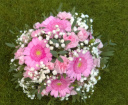 Christmas | Eco Friendly Gift and Farewell Flowers | Garden Flower Gift Shop | Mothers Day | Valentines | Classic Posy Design for any occassion