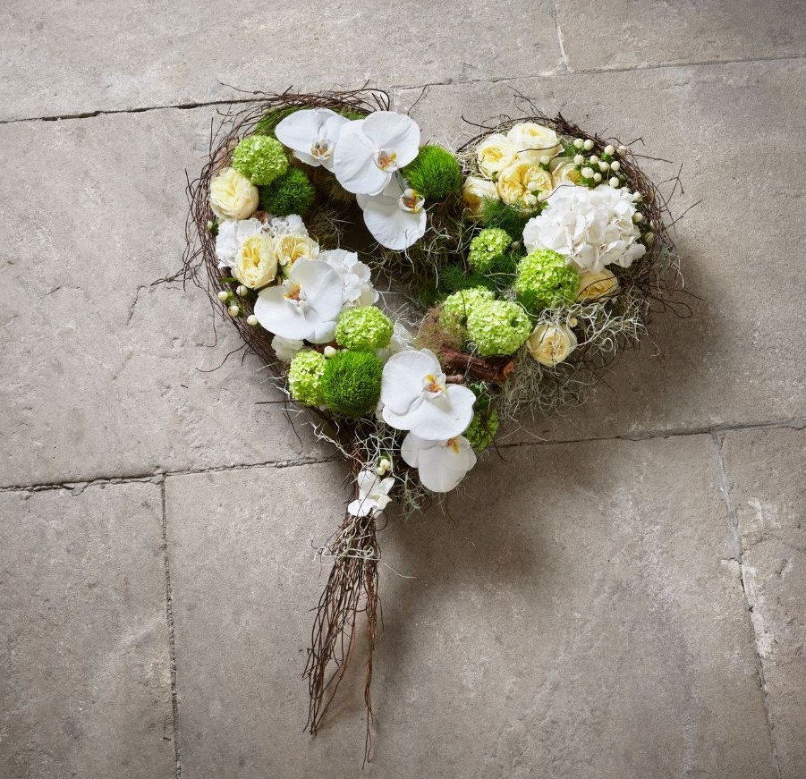 Ancient Blooms | Harrow | Blog