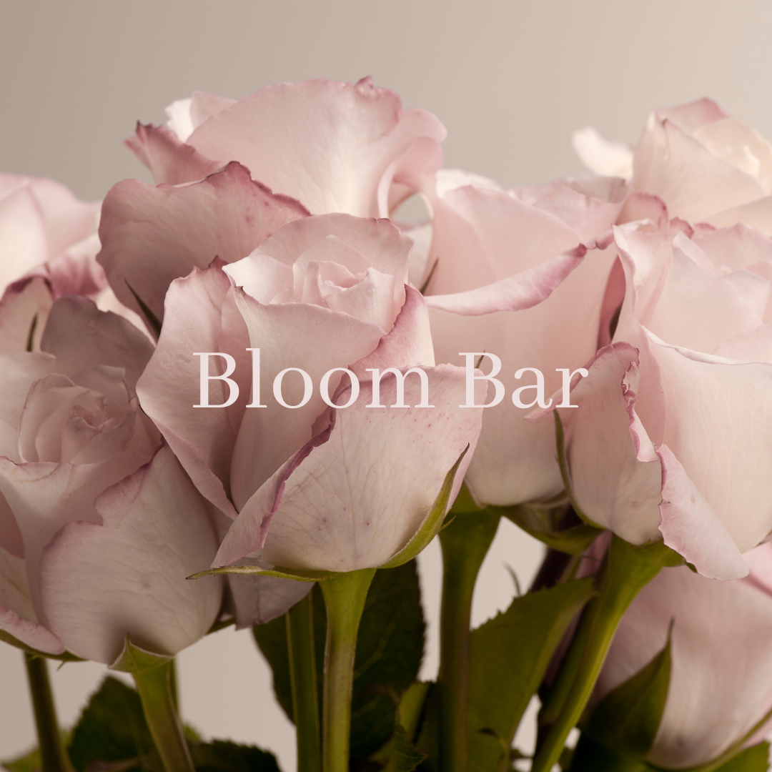Ancient Blooms | Harrow | Bloom Bar
