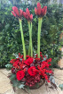Christmas | Seasonal Splendour