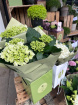 Fresh Flowers  | Hydrangea Gift Box