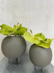 House Plants | Grey Ceramic Vase