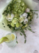 Sip into Summer! | Mojito Breeze