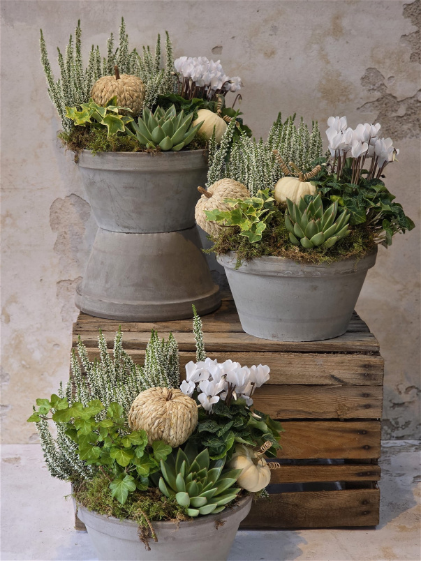 The Autumn Pantry | Autumn Mixing Bowl