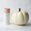 Little Luxuries | Pumpkin Spice Body Butter