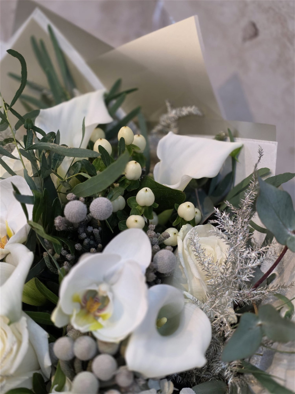 12 Days of Christmas | Seven Swans a Swimming