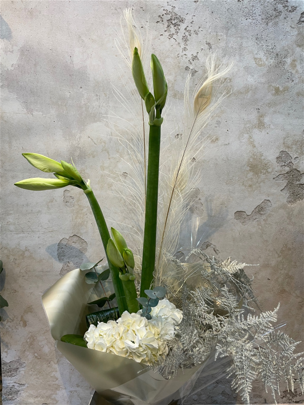 12 Days of Christmas | Six Geese are Laying