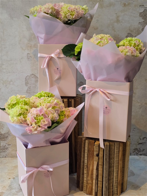 Fresh Flowers  | Mother's Day | Hydrangea Gift Box