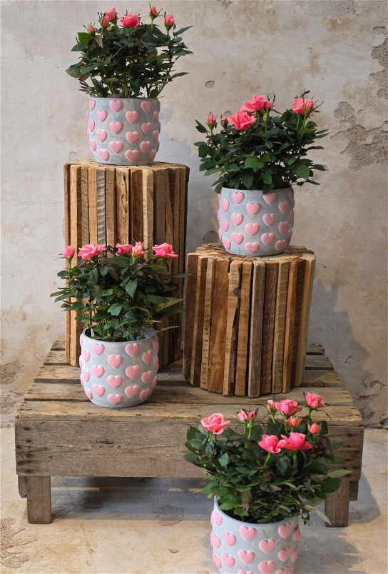 Mother's Day | Heart Rose Planter