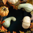 Autumnal Home Decor | Premium Pumpkin & Gourd Wreath