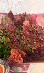 Autumn Collection | Fig Spritz