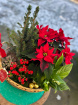 Festive florals | Festive planted basket