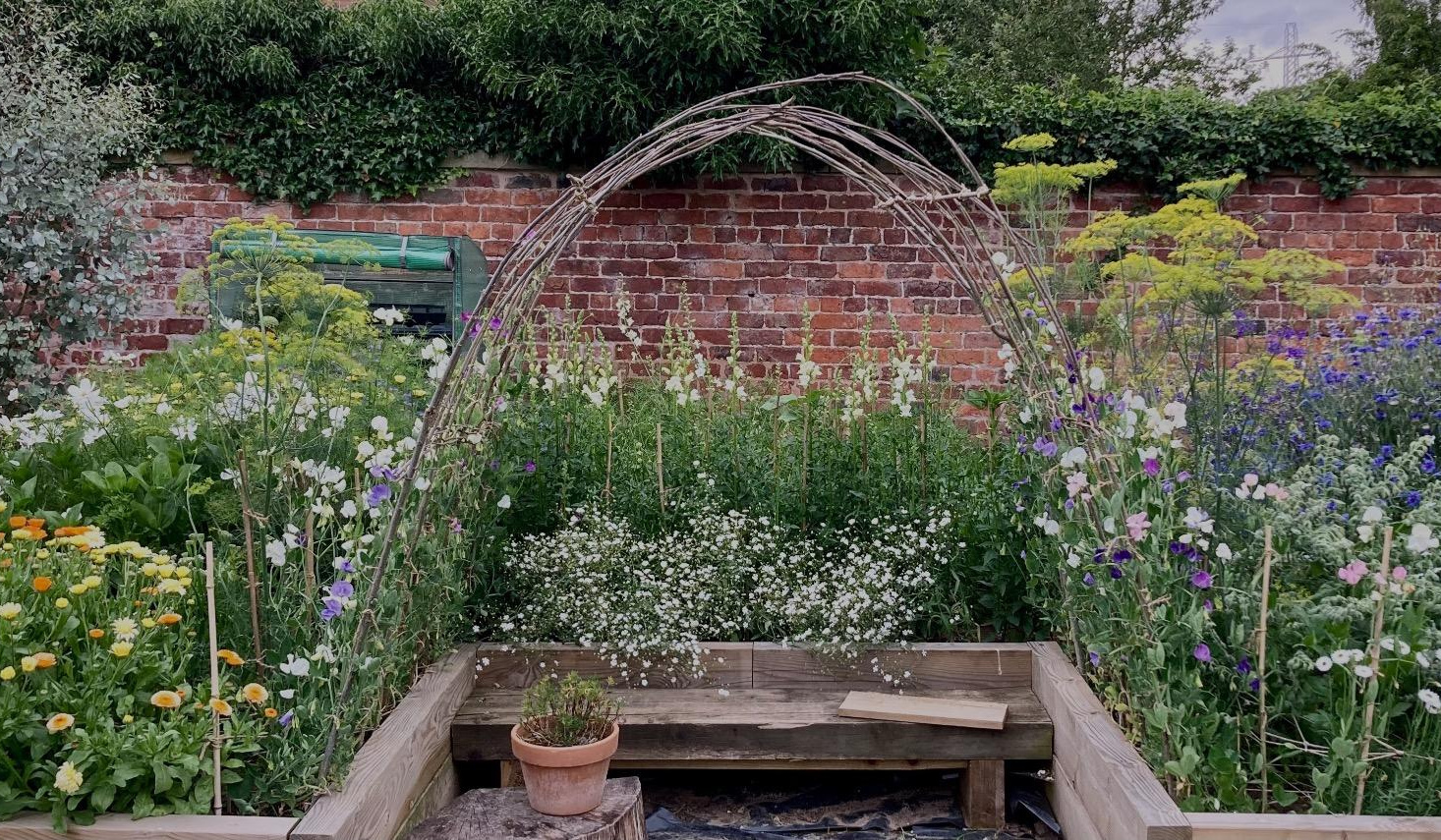 Violet Hill Flower Company | Oswestry | Home