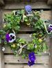 Violet Hill Flower Company | Oswestry | Funeral