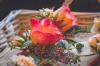 Violet Hill Flower Company | Oswestry | Weddings