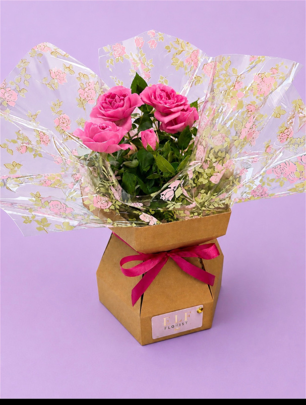 Houseplants | Rose plants