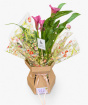 Teacher Gifts | Teacher's Calla Lilly