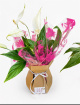 Teacher Gifts | Teachers Peace Lilly