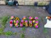 Clare Zoe Flowers with Love | Birmingham | Funeral