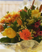 Arrangements | Bouquets | Gifts | Florist's Choice