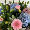 Arrangements | Bouquets | Gifts | Luxury Handtied in water