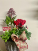 Arrangements | Christmas Time | Gifts | Plants | Festive planted arrangement