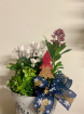 Arrangements | Christmas Time | Gifts | Plants | Festive planted arrangement