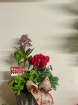 Arrangements | Christmas Time | Gifts | Plants | Festive planted arrangement