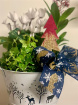 Arrangements | Christmas Time | Gifts | Plants | Festive planted arrangement