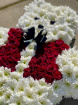 Arrangements | Teddy Bear