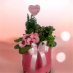Arrangements | Gifts | Mother’s Day | Plants | Large Planted Hatbox
